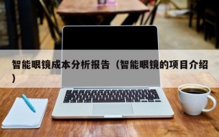 智能眼镜成本分析报告（智能眼镜的项目介绍）