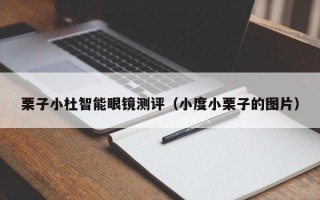 栗子小杜智能眼镜测评（小度小栗子的图片）